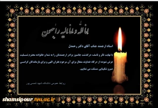 استاد ارجمند جناب آقای دکتر رحمدل