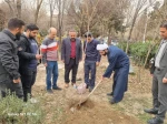 برگزاری مراسم کاشت نهال  همزمان با روز درختکاری با شعار 