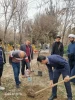 برگزاری مراسم کاشت نهال  همزمان با روز درختکاری با شعار 