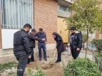 برگزاری مراسم کاشت نهال  همزمان با روز درختکاری با شعار 