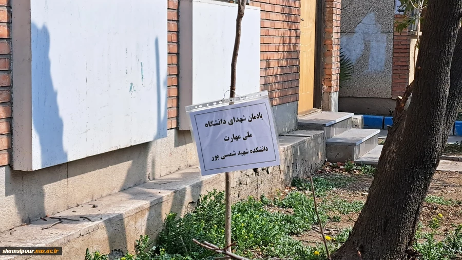 کاشت ۳ اصله نهال در فضای سبز دانشکده به مناسبت روز شهدا 2