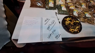 با حضور معاون توسعه اشتغال وزارت تعاون، کار و رفاه اجتماعی آغاز به کار کرد:
هشتمین بازارچه دانشجویی دانشگاه ملی مهارت در دانشکده دکتر شریعتی تهران 7