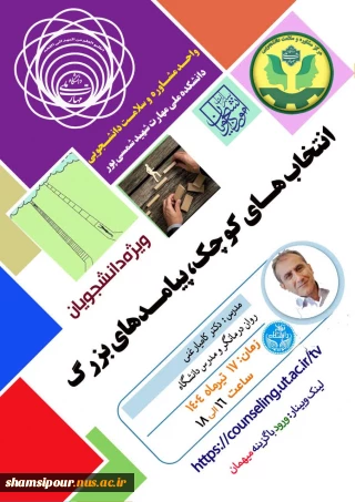 انتخاب های کوچک، پیامدهای بزرگ