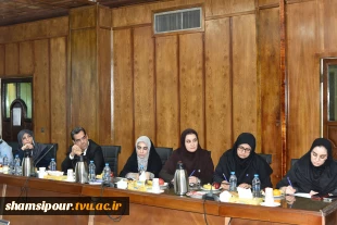 نشست مشترک اعضای کمیسیون آموزش و تحقیقات مجلس شورای اسلامی و هیئت رئیسه دانشگاه ملی مهارت/ حمایت کمیسیون از دانشگاه ملی مهارت برای عضویت در شورای عالی آموزش و تربیت فنی، حرفه‌ای و مهارتی 13