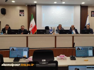 دومین جلسه برخط رئیس دانشگاه ملی مهارت با نماینده‌های کارمندان در استان‌های استان‌های خراسان شمالی، کرمان، یزد، آذربایجان غربی و کرمانشاه 3