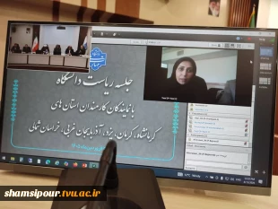 دومین جلسه برخط رئیس دانشگاه ملی مهارت با نماینده‌های کارمندان در استان‌های استان‌های خراسان شمالی، کرمان، یزد، آذربایجان غربی و کرمانشاه 4