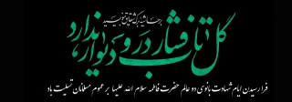 فاطِمَه بَضْعَهٌ مِنّی یؤلِمُها ما یؤْلِمُنِی وَیسَرُّنِی ما یسُرُّها
فاطمه پاره تن من است ، هر چه او را بیازارد مرا آزرده است ، وهرچه او را مسرور گرداند مرا مسرور کرده است